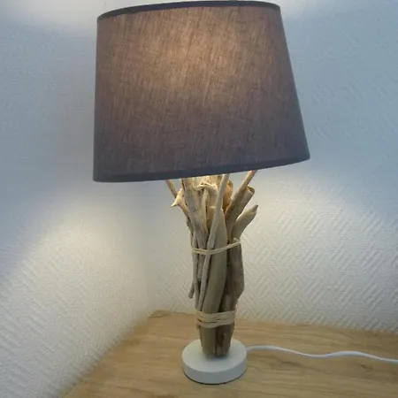 Apartment En : 3 Pieces Moulleau -arbousiers-pereire Arcachon